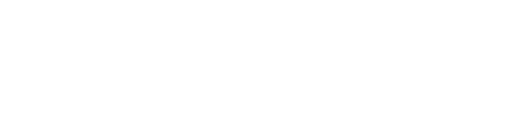 Astorr Co logo